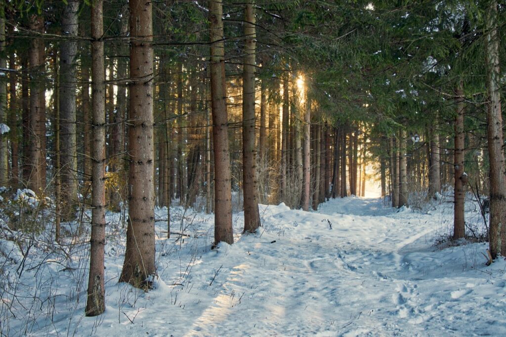 九州の冬に訪れたい雪景色スポットはどこ？