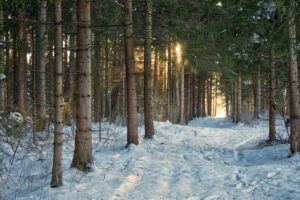九州の冬に訪れたい雪景色スポットはどこ？