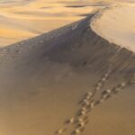 九州の秋に行くべき温泉旅行はどこがオススメ？
