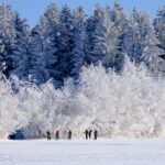 佐賀の冬イルミネーションはどこが一番おすすめ？