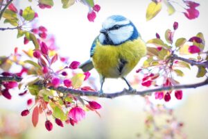 大分春のドライブコースで楽しむ絶景スポットは？