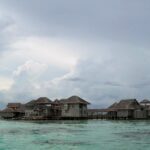 宮崎の青島へ夏のドライブ、楽しむポイントは？