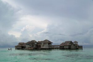 宮崎の青島へ夏のドライブ、楽しむポイントは？