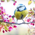 阿蘇の春に訪れる観光でおすすめのスポットは？