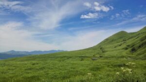 福岡の雨の日に行くべき観光スポットはどこ？