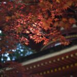 九州の世界遺産と温泉、どちらを優先すべき？