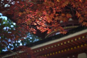 九州の世界遺産と温泉、どちらを優先すべき？