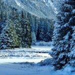 九州の冬に雪が見れる観光スポットはどこ？