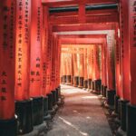 九州の観光体験はどれを選ぶべき？
