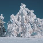 武雄温泉で冬の旅行を楽しむためのポイントは？