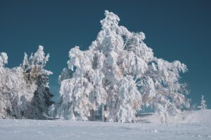 武雄温泉で冬の旅行を楽しむためのポイントは？