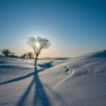長崎の冬のイルミネーションはどれが一番おすすめ？