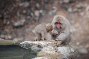 鹿児島の冬におすすめの温泉観光スポットはどこ？