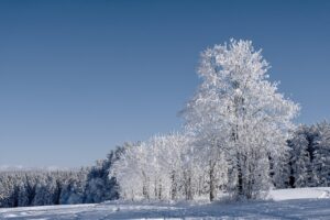 鹿児島の冬の日帰り観光はどこがおすすめ？