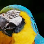 九州の観光は本当におすすめ？口コミと評判を徹底解説！