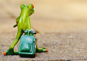 九州旅行のおすすめ時期はいつ？あなたにぴったりの季節を見つけよう！