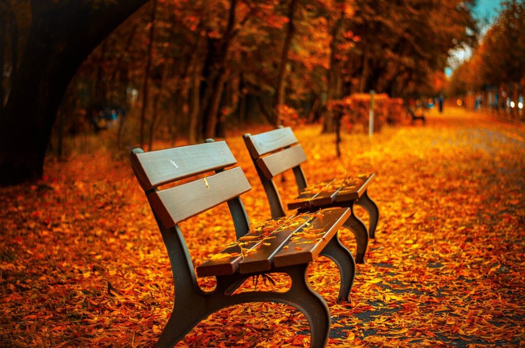 九州の秋に訪れたい紅葉のおすすめスポットはどこ？