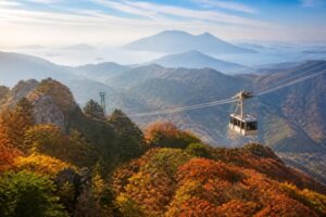 九州の秋の紅葉の見所はどこ？